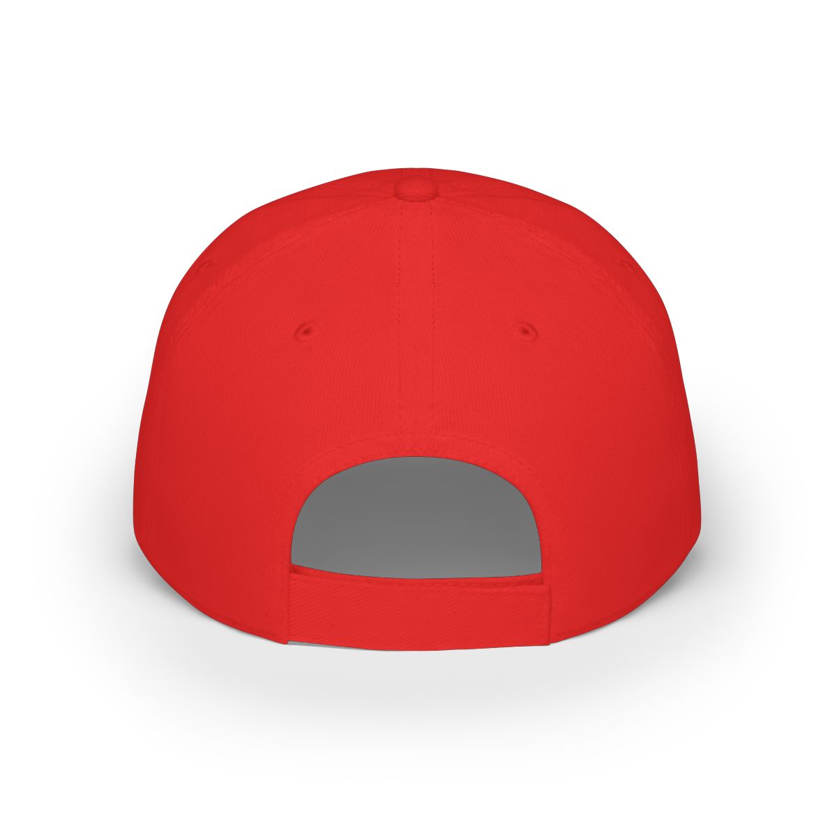 Dan Carlin's Common Sense Baseball Cap - alternate angle 1, merchandise